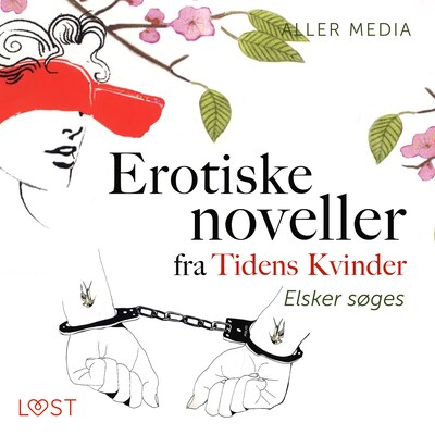 Elsker søges – erotiske noveller fra Tidens kvinder