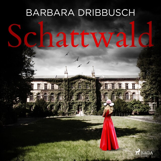 Book cover for Schattwald