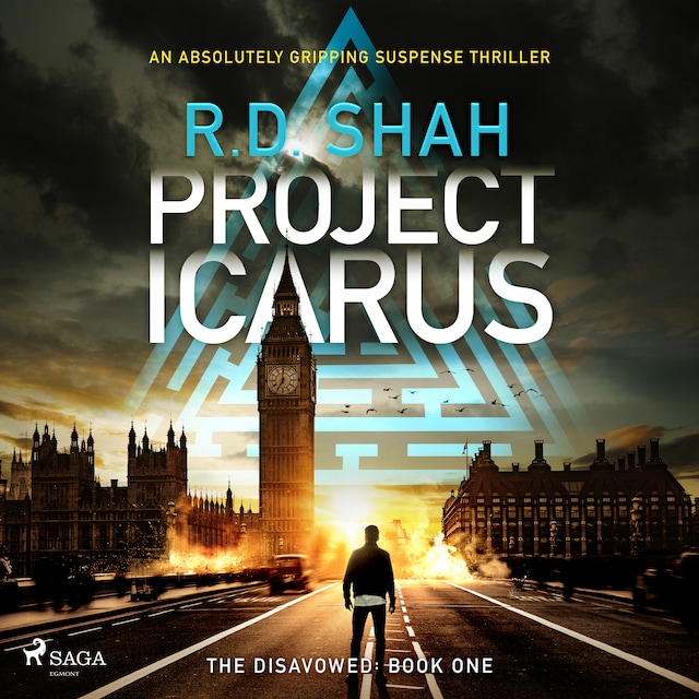 Copertina del libro per Project Icarus