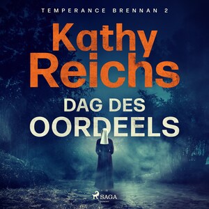Dag des oordeels - luisterboek