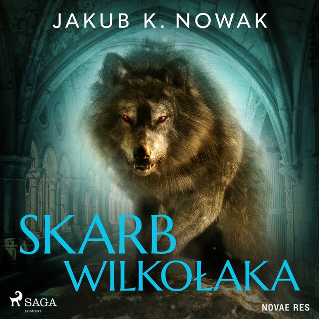 Book cover for Skarb wilkołaka