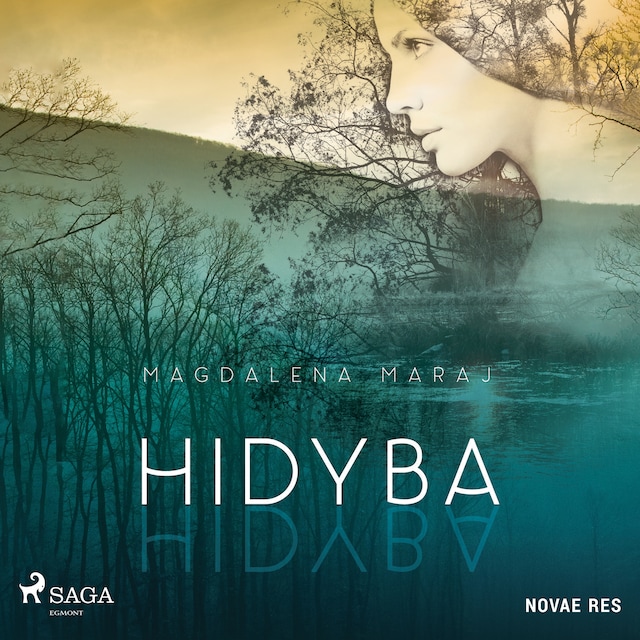 Buchcover für Hidyba
