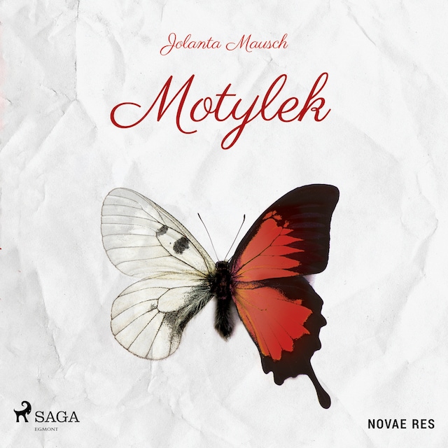 Book cover for Motylek