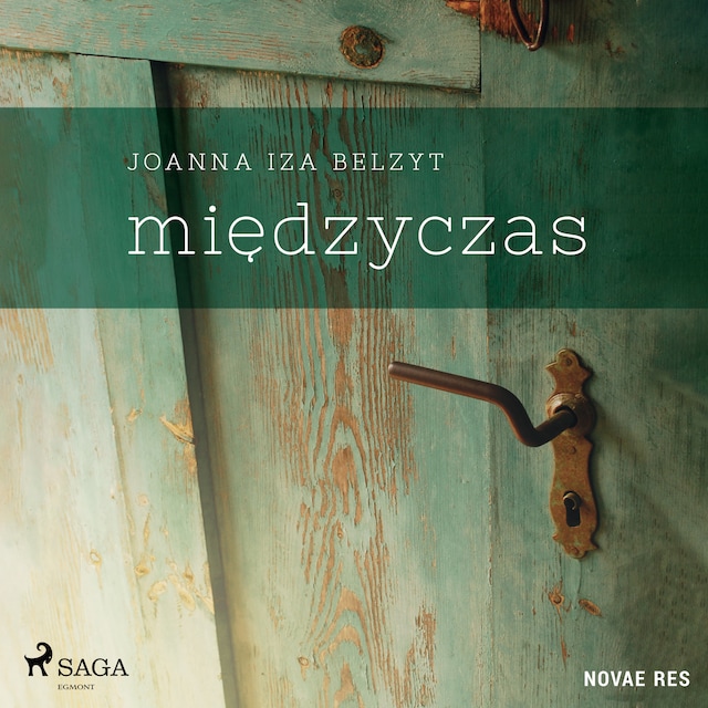 Book cover for Międzyczas