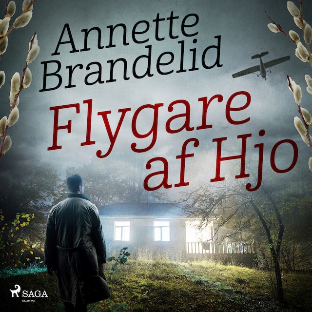 Book cover for Flygare af Hjo