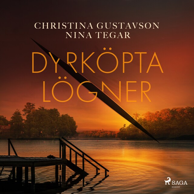 Book cover for Dyrköpta lögner