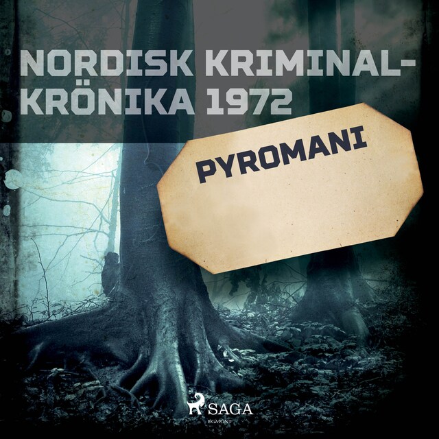 Book cover for Pyromani
