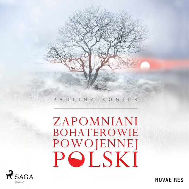 Couverture de livre pour Zapomniani bohaterowie powojennej Polski