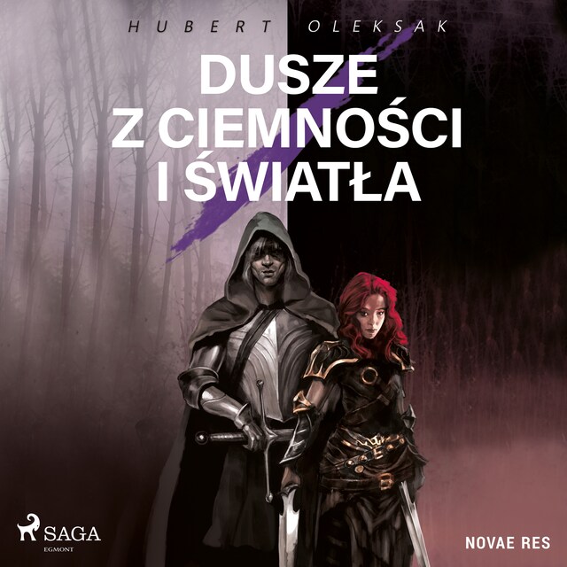 Couverture de livre pour Dusze z ciemności i światła