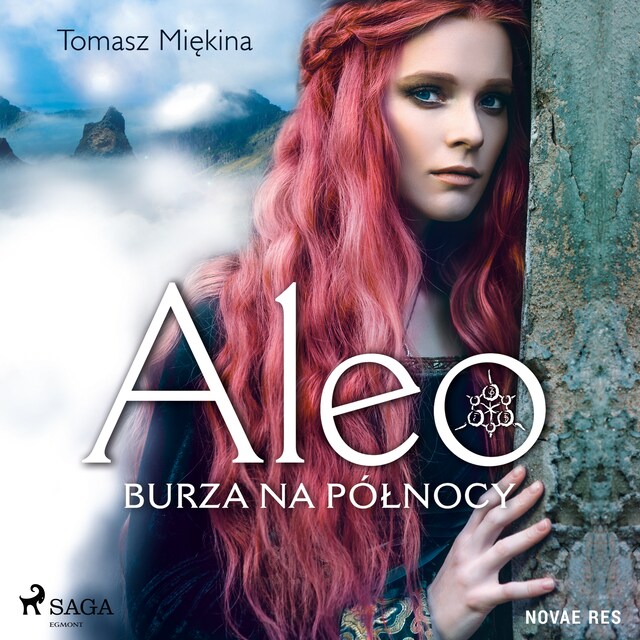 Book cover for Aleo. Burza na północy