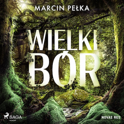 Wielki Bór bookCoverFor