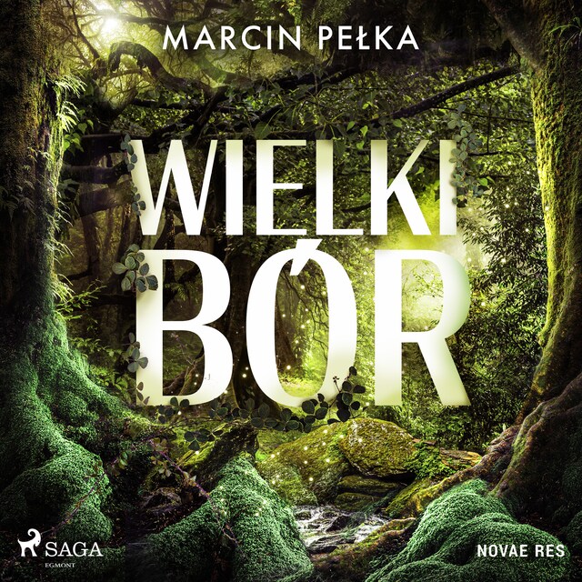 Book cover for Wielki Bór