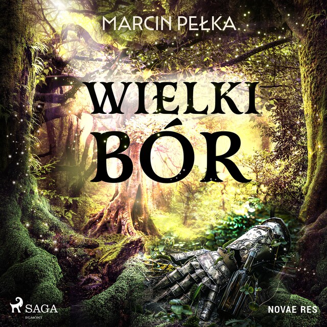 Portada de libro para Wielki Bór