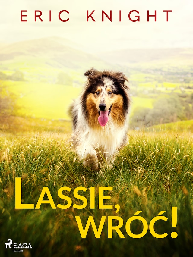 Portada de libro para Lassie, wróć!