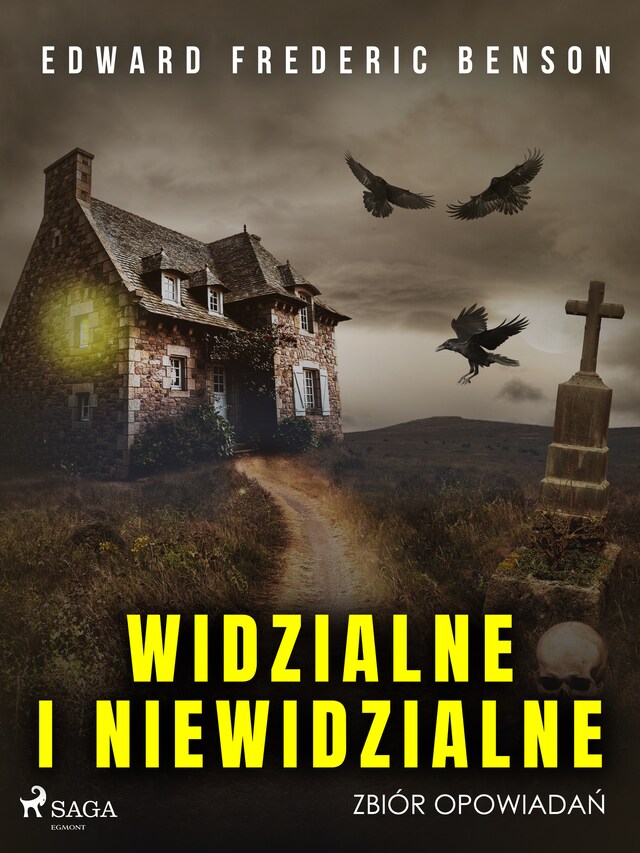 Kirjankansi teokselle Widzialne i niewidzialne. Zbiór opowiadań