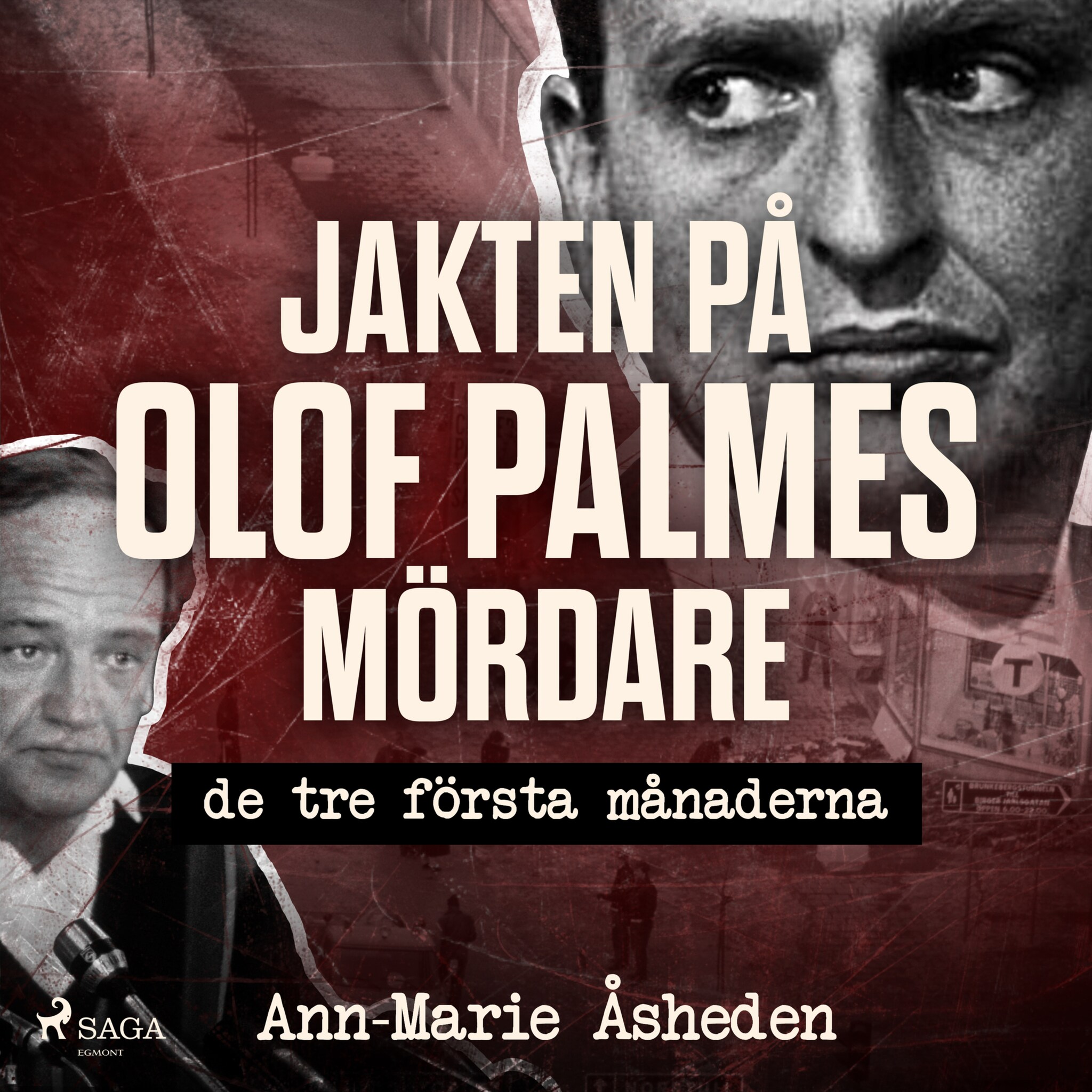 Jakten på Olof Palmes mördare
