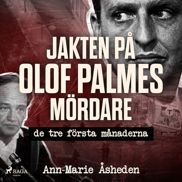 Bokomslag för Jakten på Olof Palmes mördare