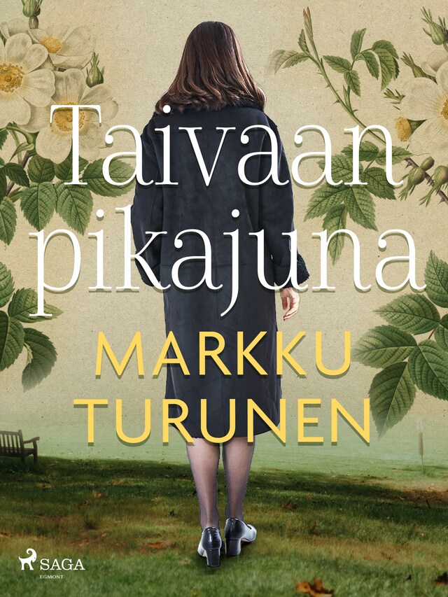 Book cover for Taivaan pikajuna