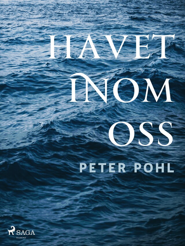 Book cover for Havet inom oss