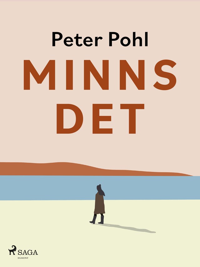 Book cover for Minns det