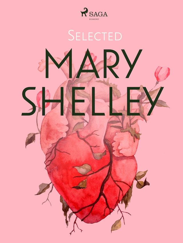 Boekomslag van Selected Mary Shelley