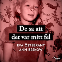 De sa att det var mitt fel