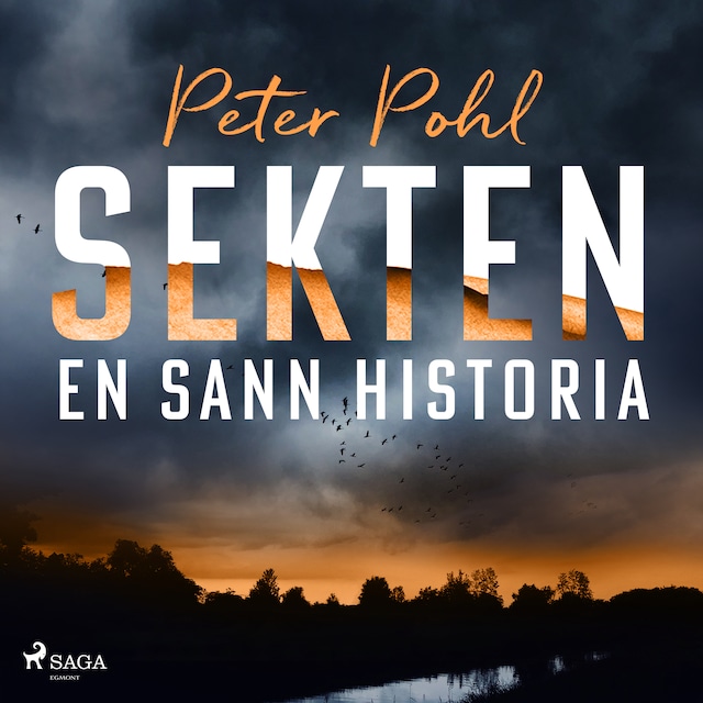 Book cover for Sekten: en sann historia
