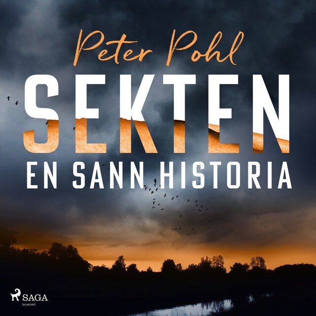 Copertina del libro per Sekten: en sann historia