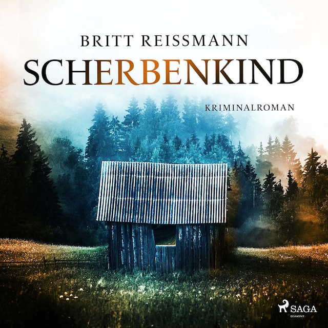 Book cover for Scherbenkind