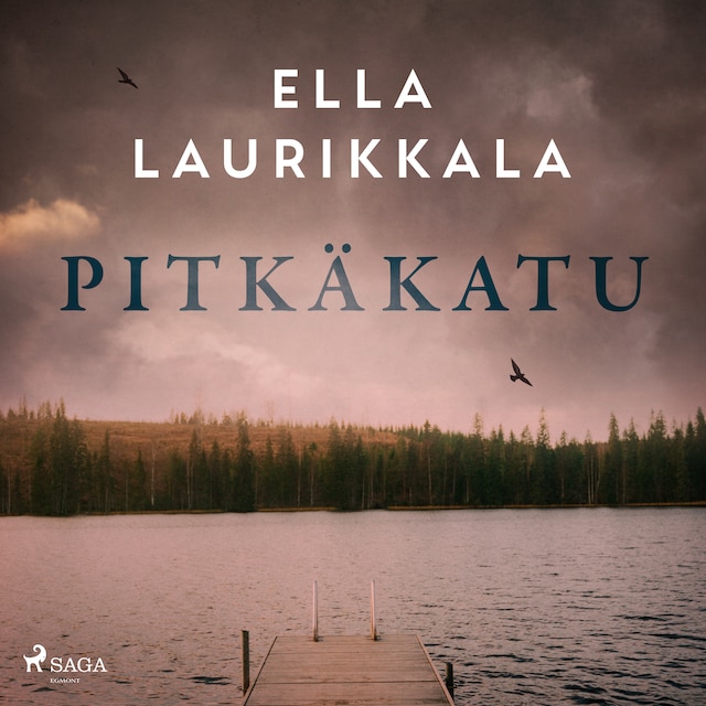Copertina del libro per Pitkäkatu