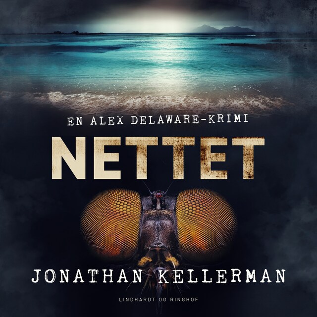 Book cover for Nettet