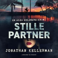 Stille partner