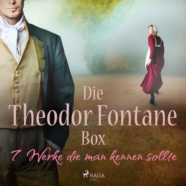 Okładka książki dla Die Theodor-Fontane-Box – 7 Werke die man kennen sollte
