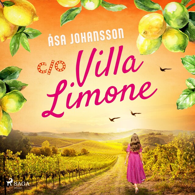 Book cover for C/O Villa Limone
