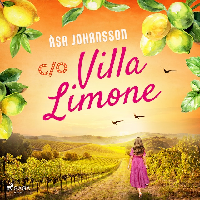 Book cover for C/O Villa Limone