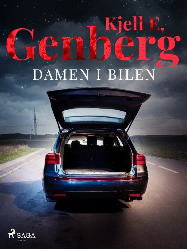 Book cover for Damen i bilen