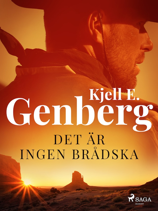 Book cover for Det är ingen brådska