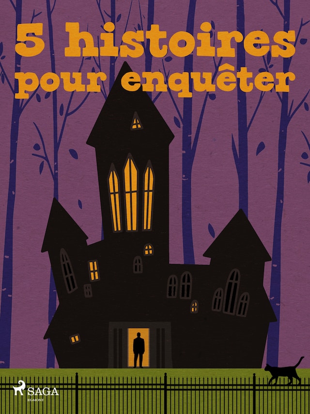 Book cover for 5 histoires pour enquêter