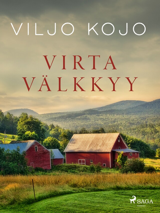 Buchcover für Virta välkkyy