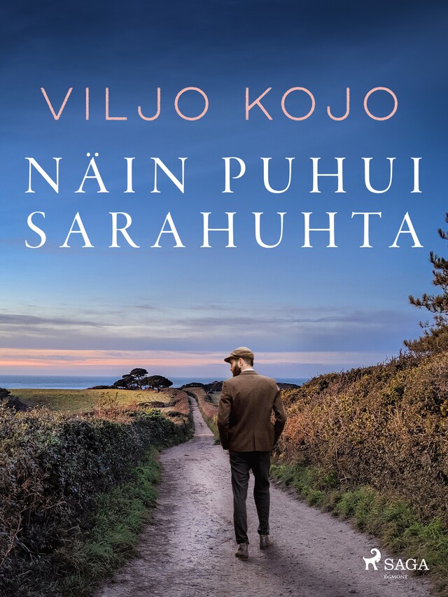 Portada de libro para Näin puhui Sarahuhta