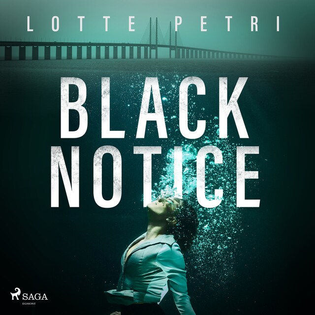 Book cover for Black Notice