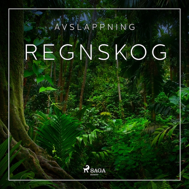 Book cover for Avslappning - Regnskog