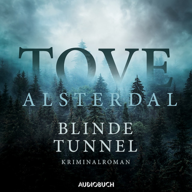 Book cover for Blinde Tunnel