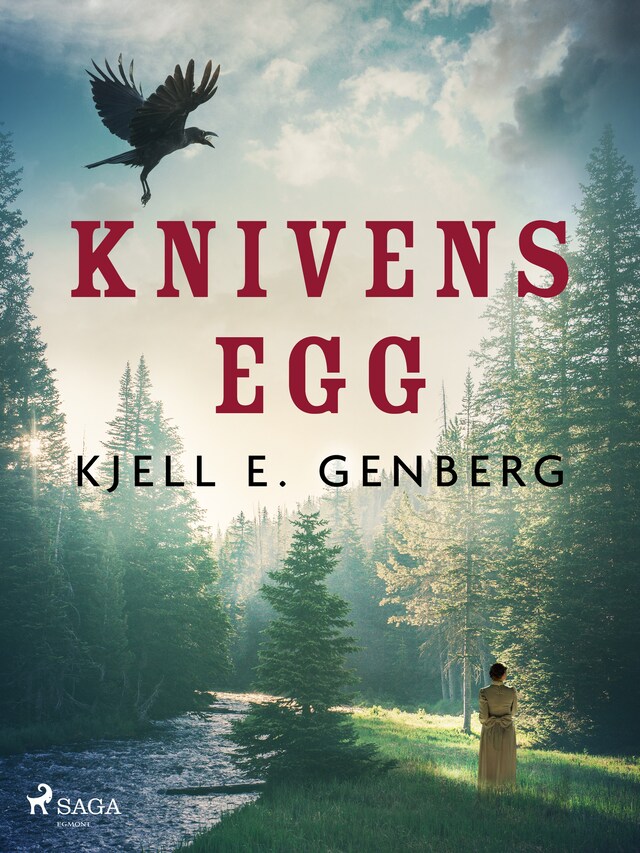 Book cover for Knivens egg