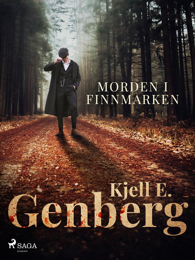 Book cover for Morden i Finnmarken