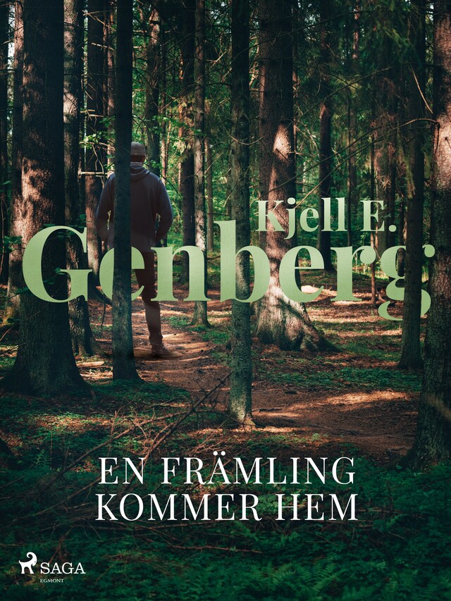 Book cover for En främling kommer hem