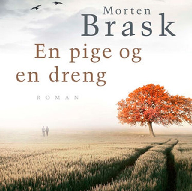 Book cover for En pige og en dreng