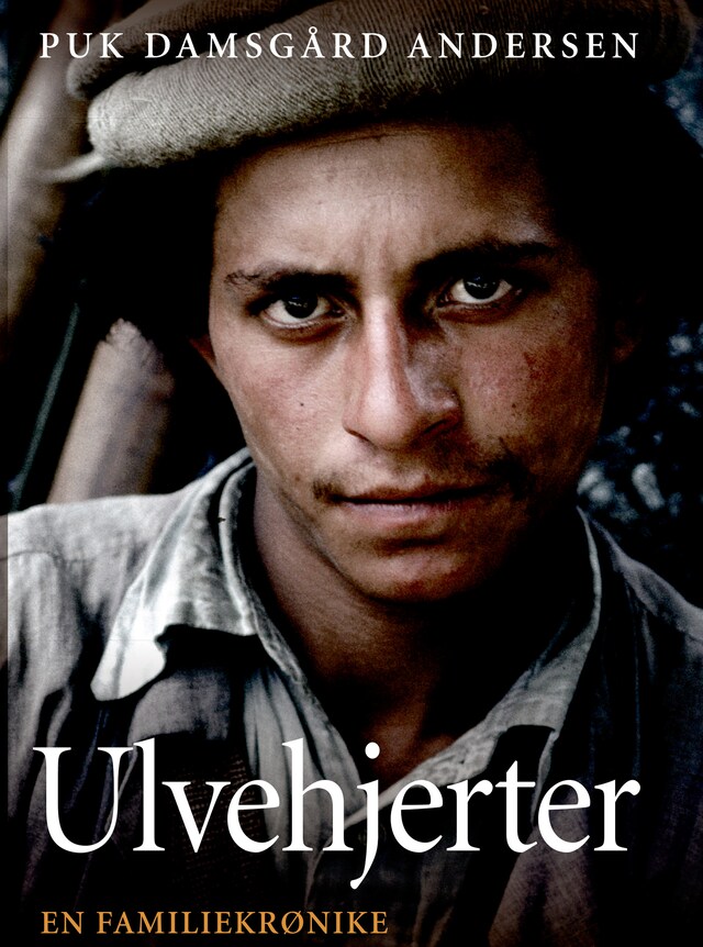 Book cover for Ulvehjerter