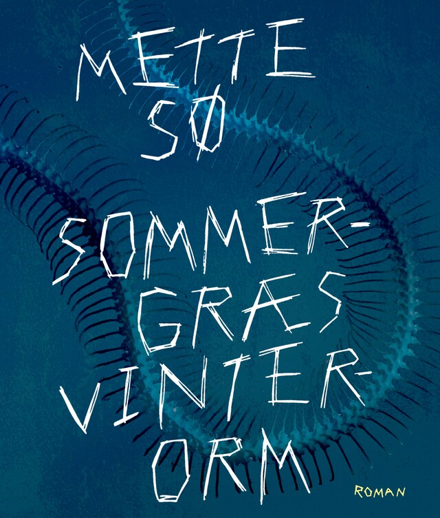 Book cover for Sommergræs, vinterorm