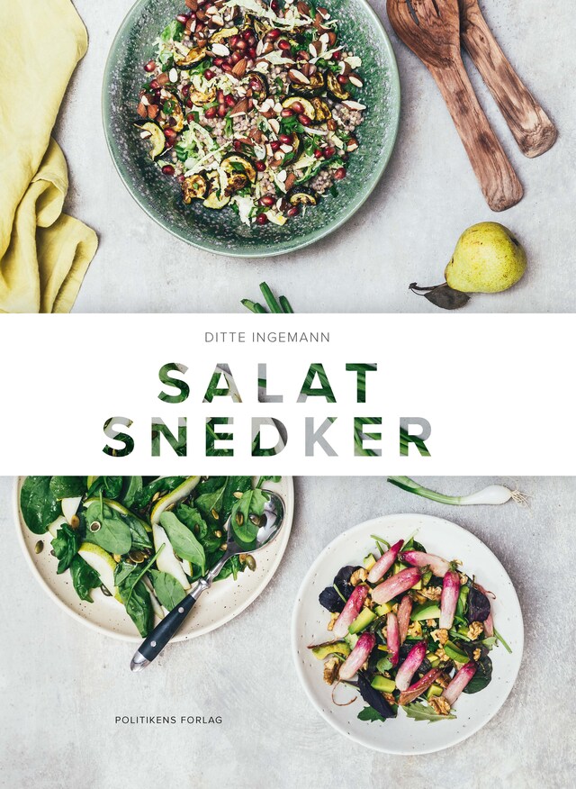 Bogomslag for Salatsnedker